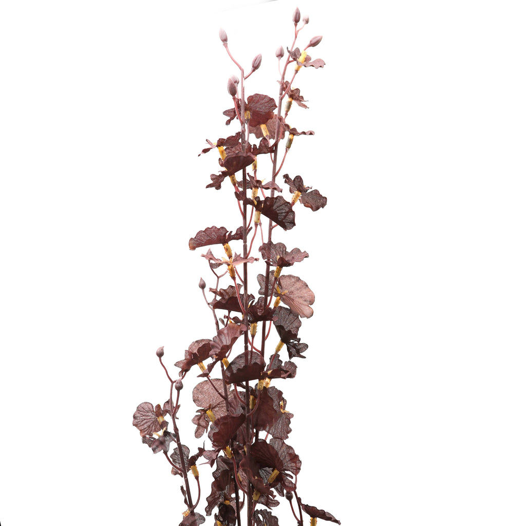 Faux Flowers, Autumnal Orchid Stem - Lulu Loves Home - Faux Plants & Flowers