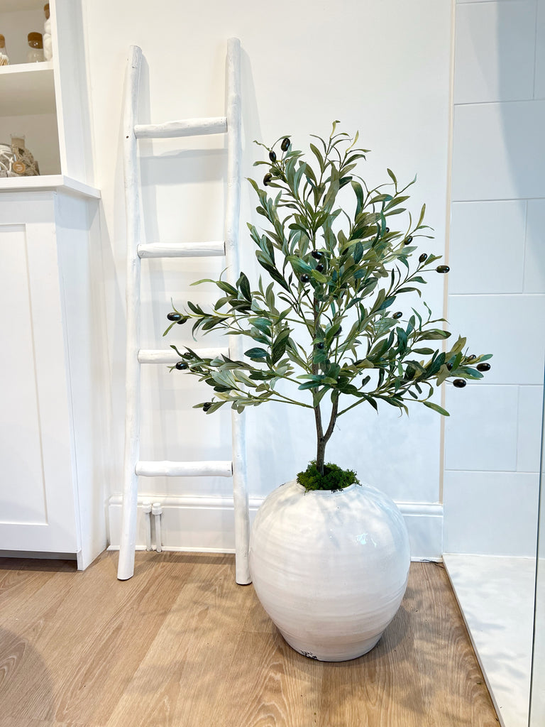 How to Elevate Your Home with Our Olive Tree Styling Hack