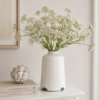 Flower Of The Month - June, Cow Parsley