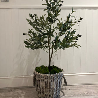 Olive Trees + Kubu Baskets