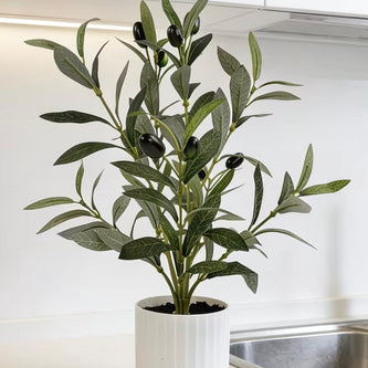 New In Home Décor 2026 | Latest Arrivals