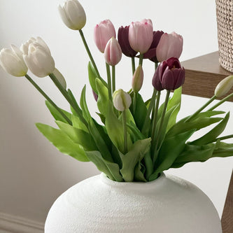 Spring Tulips