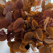 Artificial Autumnal Eucalyptus Stem