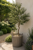 Large Artificial Faux Olive Tree - Calabria