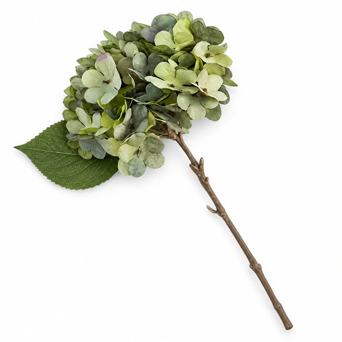 Artificial Short Sage Green Hydrangea Stem, single sage green hydrangea stem against white