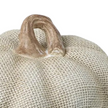 Neutral Ceramic Pumpkin