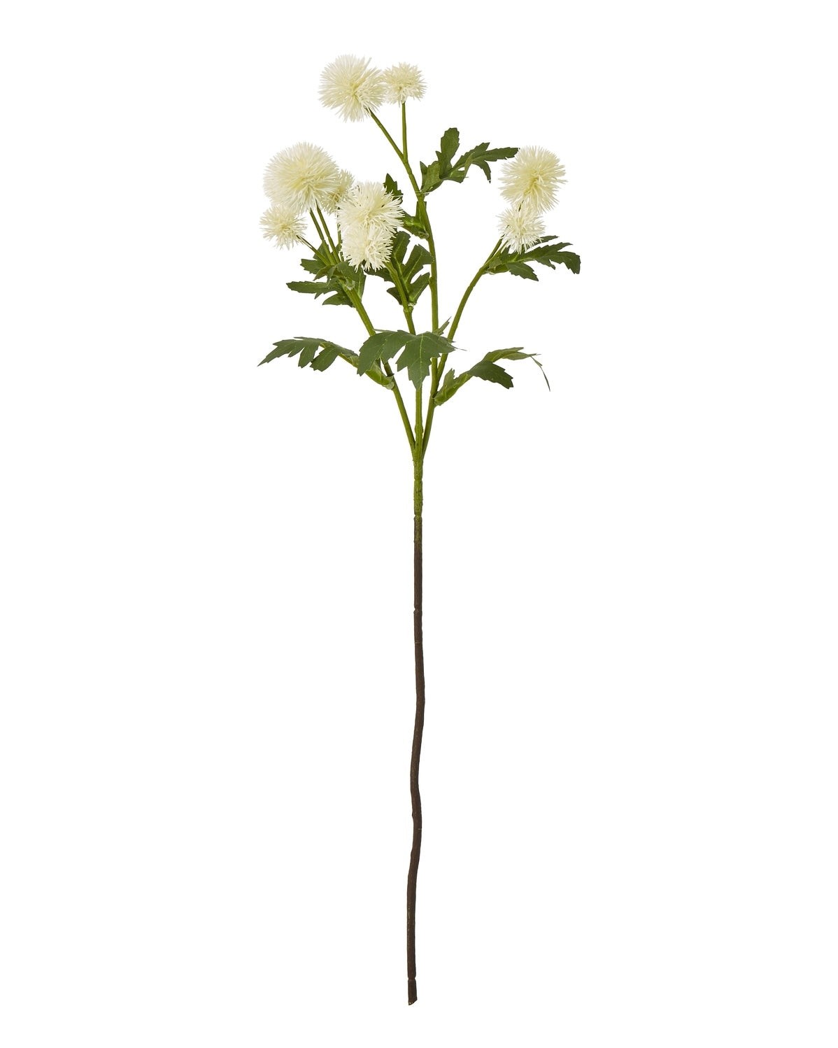 Artificial Cream Globe Thistle Spray from Hill Interiors, realistic faux plant with cream-colored globe flowers and green stems.