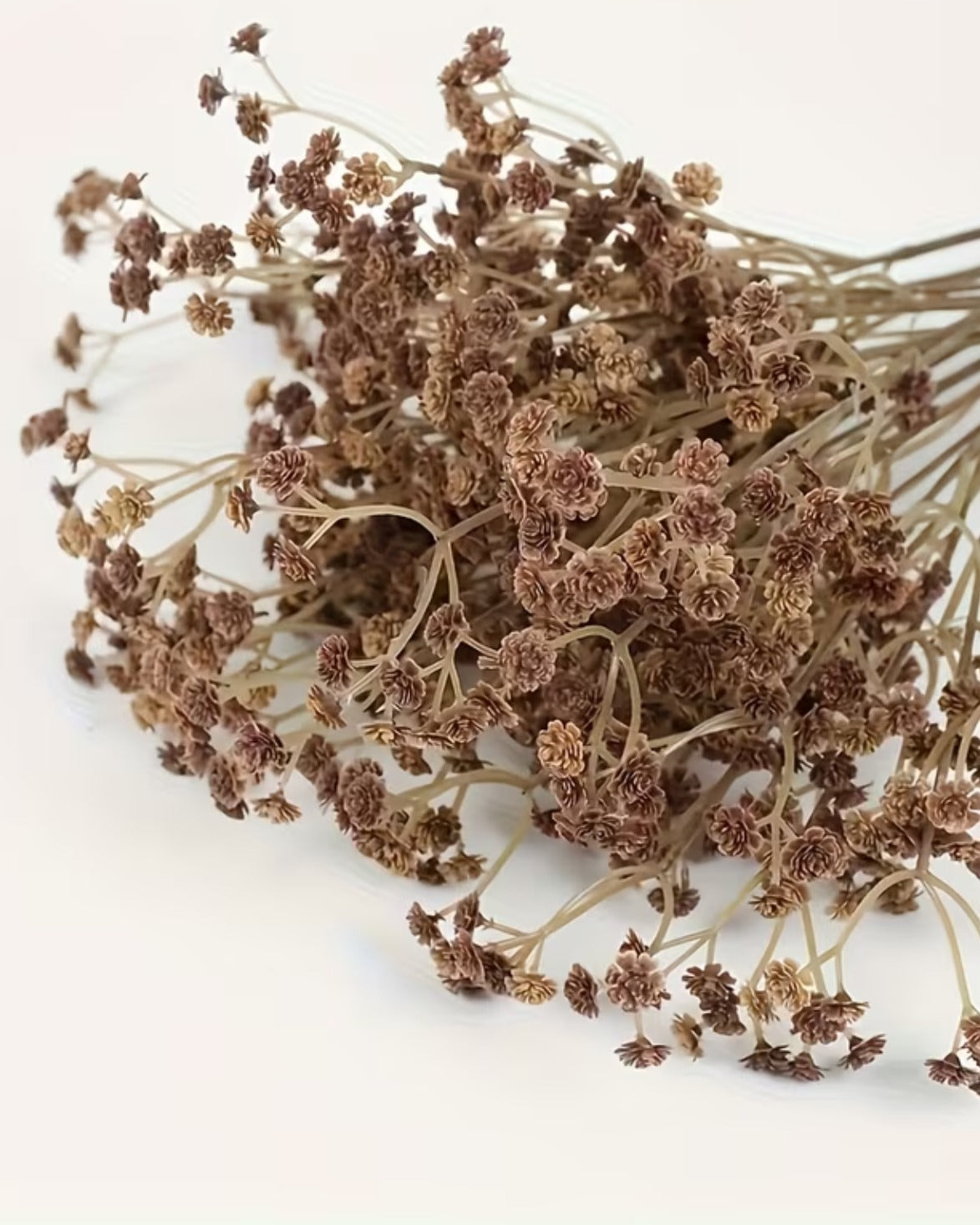 Artificial brown neutral gypsophila stem from Coach House, showcasing delicate, realistic faux flowers for home decor.