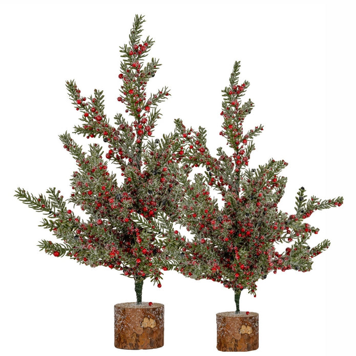 Frosted Winter Berry Tree On Wooden Block