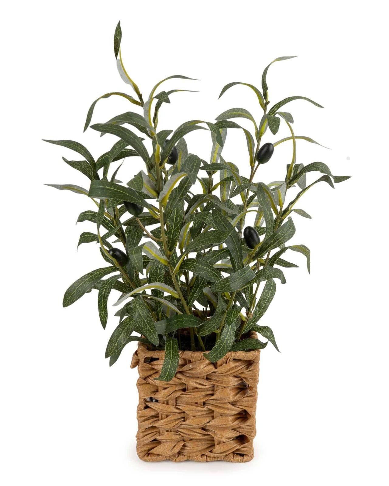 Artificial Large Olive Plants in Wicker Basket