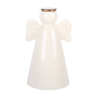 Large LED Light Up Angel Decoration with Heart