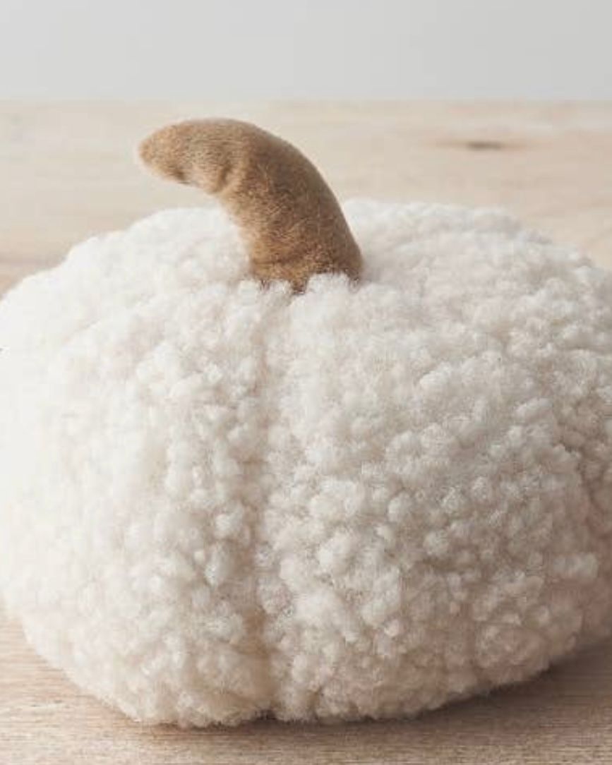 White Sherpa Pumpkin