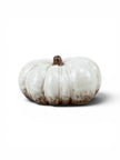 White Glazed Pumpkin