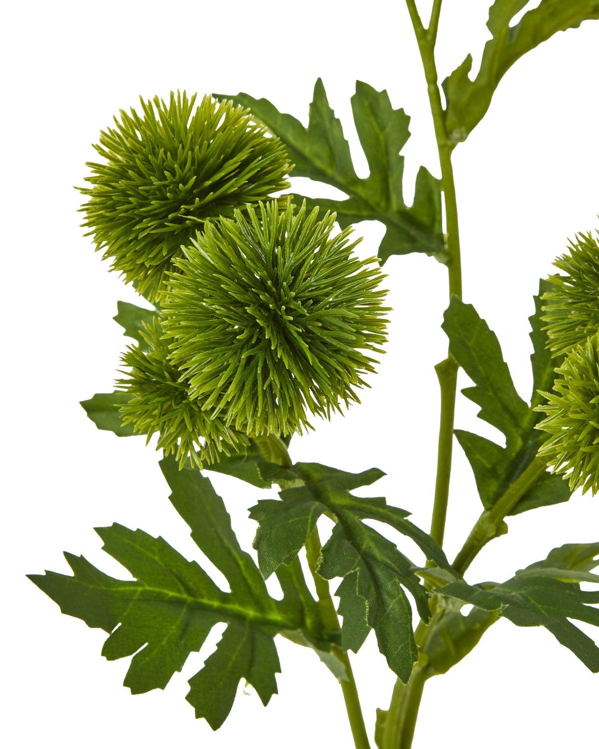 Artificial Green Globe Thistle Spray from Hill Interiors, realistic green globe-shaped thistle plant for home decor.