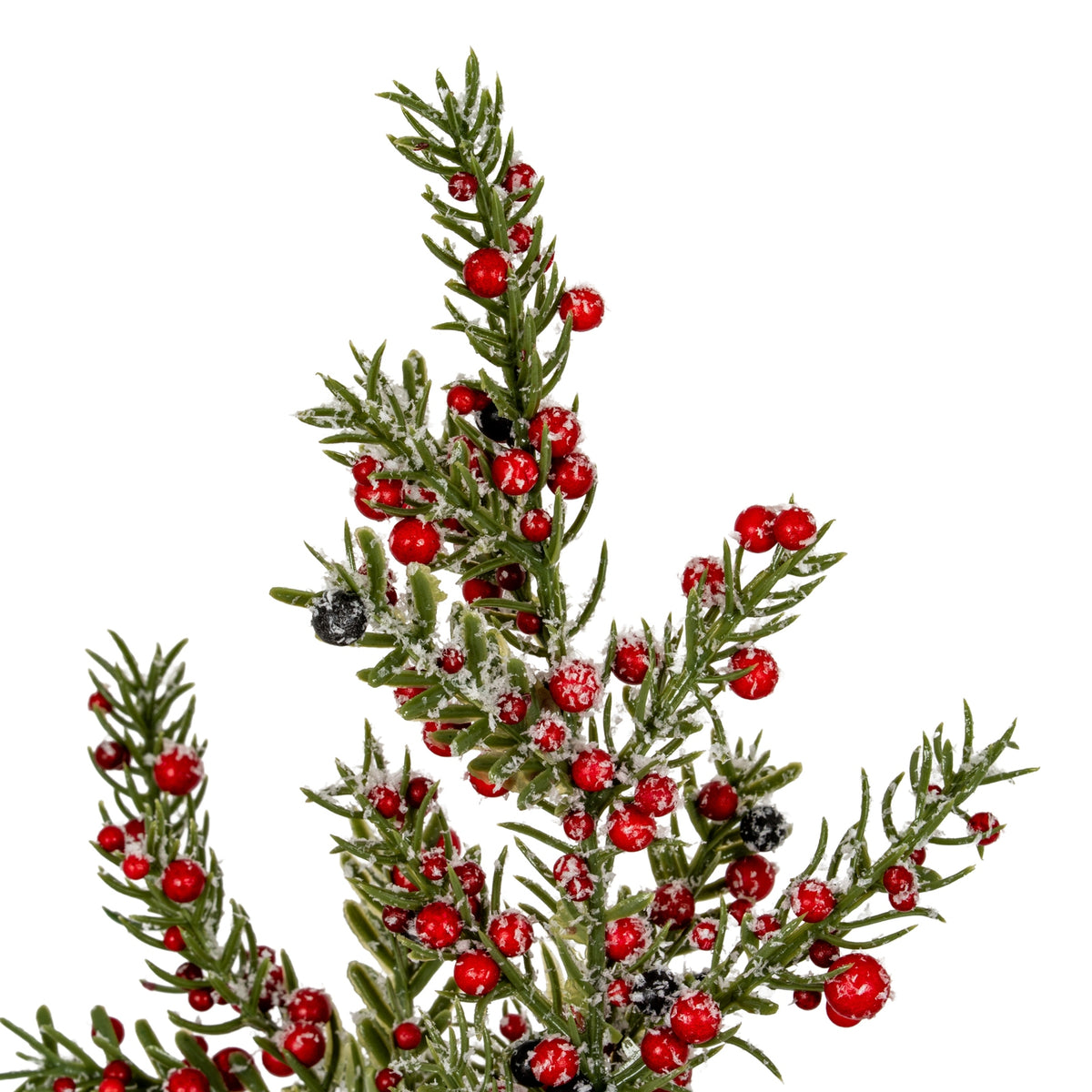 Frosted Winter Berry Tree On Wooden Block
