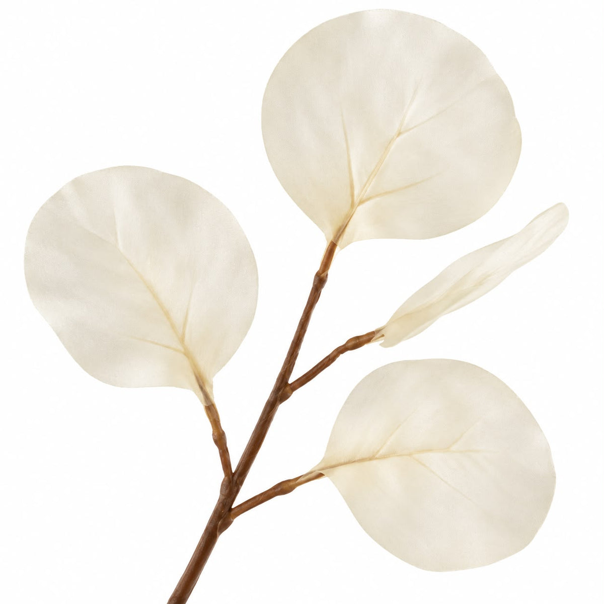 Artificial Ivory Eucalyptus Stem — product image 6