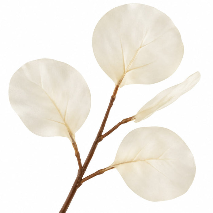 Artificial Ivory Eucalyptus Stem — product image 6