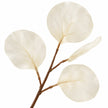 Artificial Ivory Eucalyptus Stem — product image 6