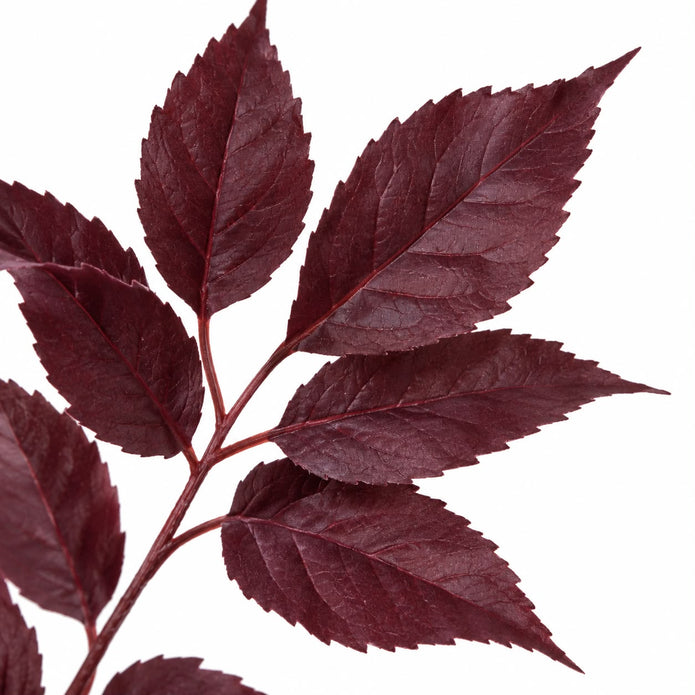 Artificial Burgundy Leaf Foliage Stem, close-up of the burgundy leaves and branching stem on white