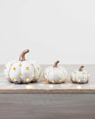 LED Light Up Neutral Pumpkin Ornament