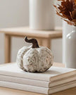 Neutral Wonky Pumpkin