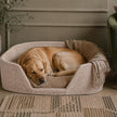 Wickham Rattan Rectangular Dog Bed