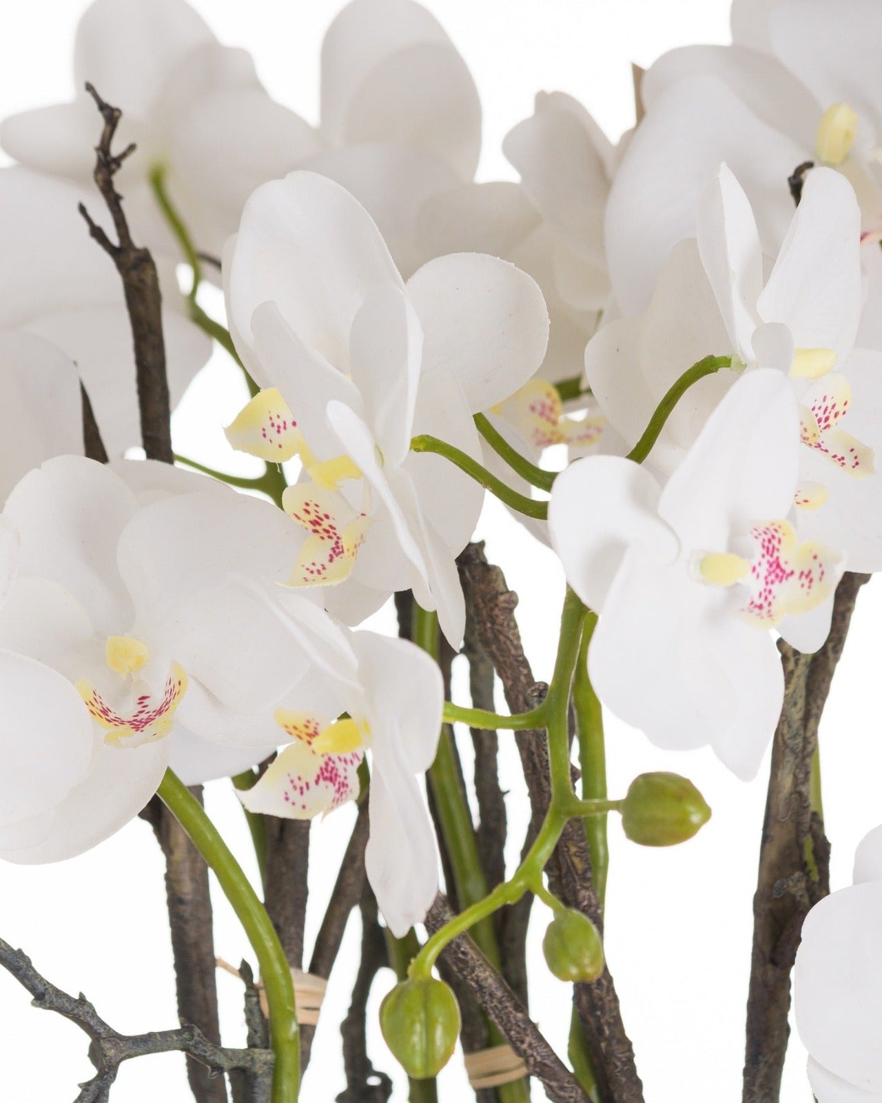 Large artificial potted orchid with visible roots, from Hill Interiors, featuring realistic stone planter and lush floral details.
