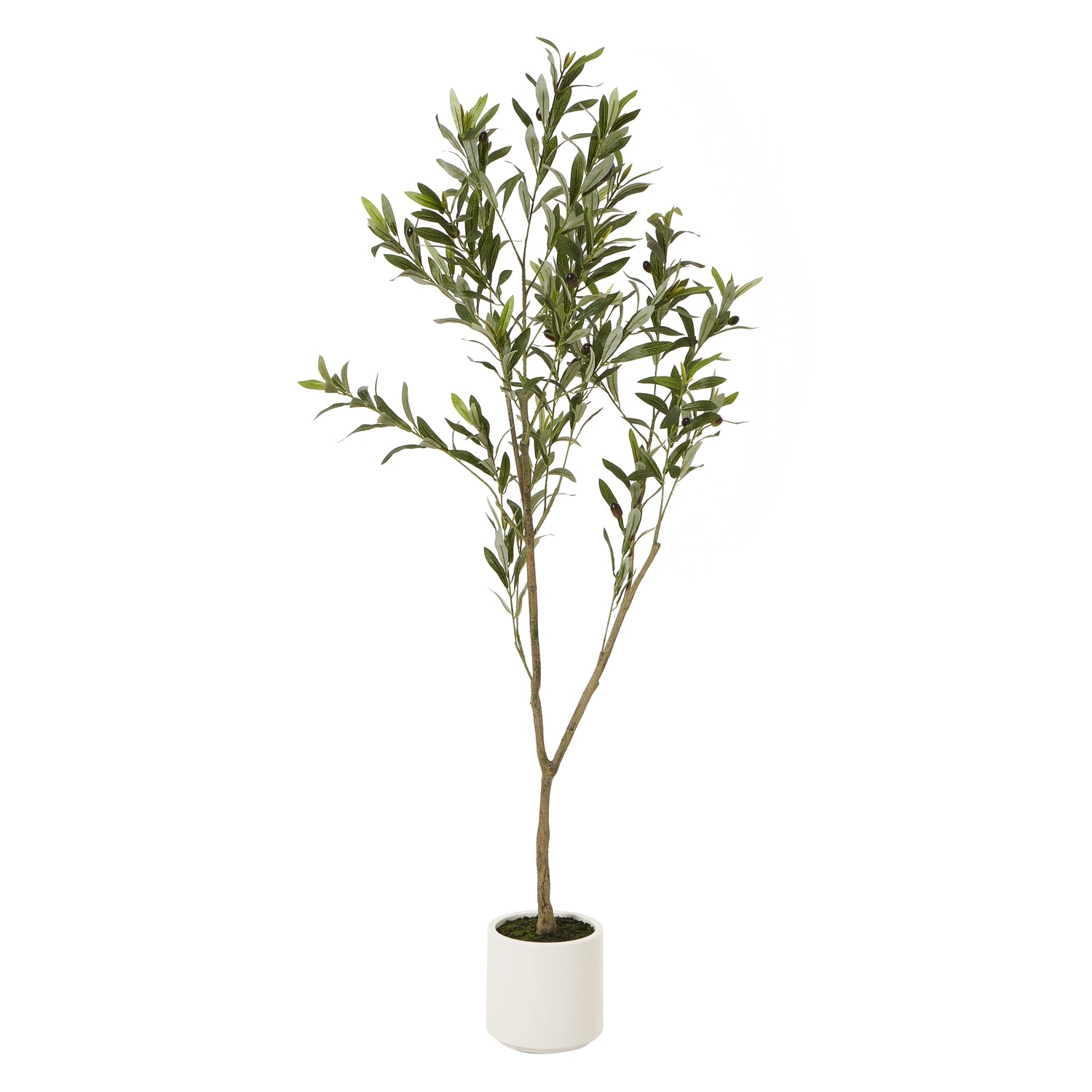 Small artificial faux olive tree in a pot, realistic green leaves, from Hill Interiors' Apulia collection, perfect for home decor.