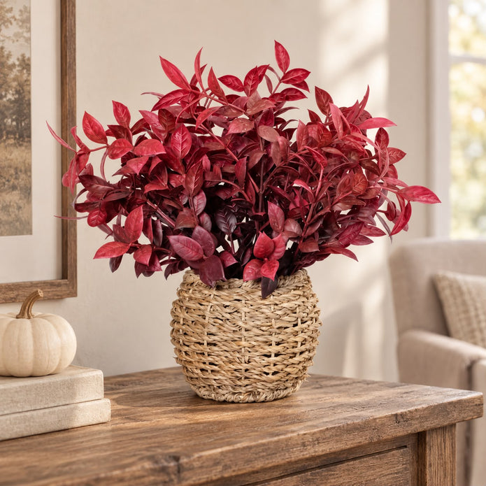 Burgundy Foliage Plant In a Seagrass Planter
