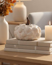 Large Neutral Ceramic Pumpkin Decor