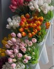 Bunch of 5 artificial tulip stems in golden yellow, spring flowers from Starlight Express, realistic floral display for home decor