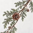 Close-up of pinecones and green foliage