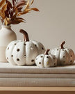 LED Light Up Neutral Pumpkin Ornament