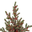 Frosted Winter Berry Tree On Wooden Block