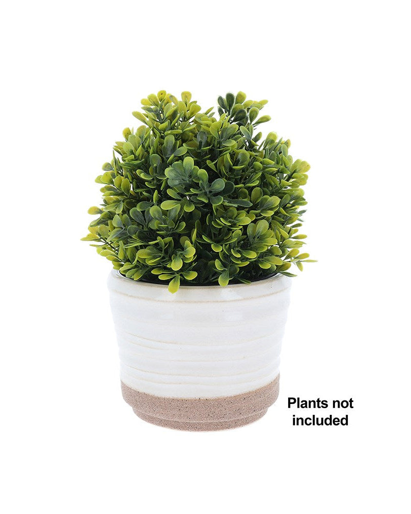 Artificial potted plant in a white pot with a beige base on a white background