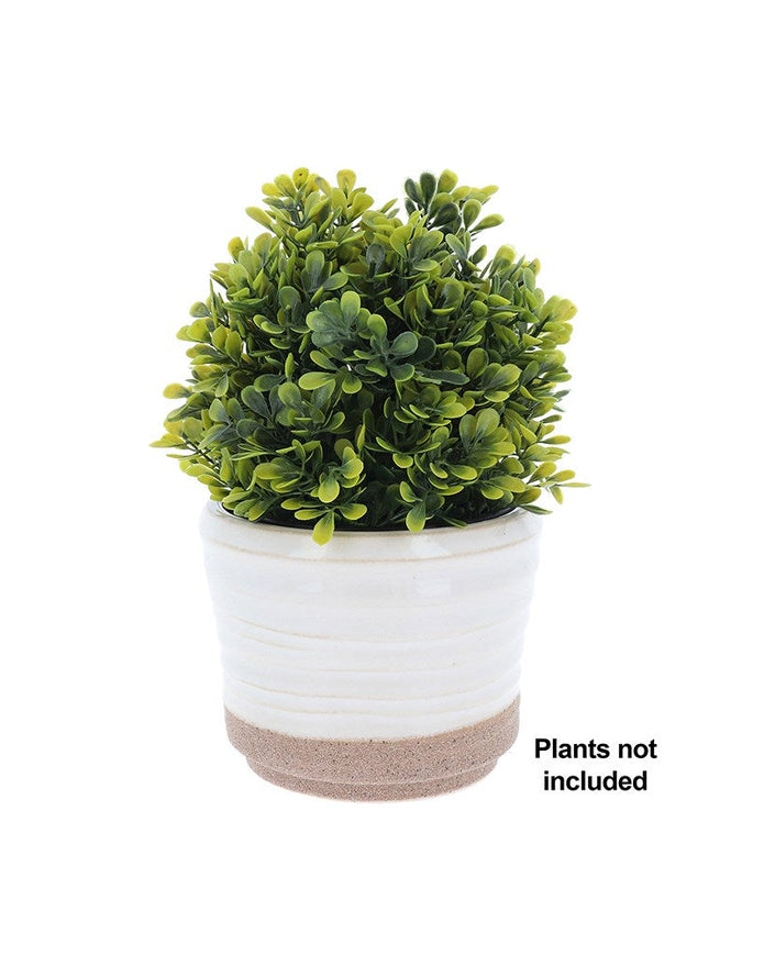 Artificial potted plant in a white pot with a beige base on a white background