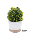 Artificial potted plant in a white pot with a beige base on a white background