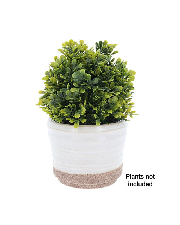 Artificial potted plant in a white pot with a beige base on a white background