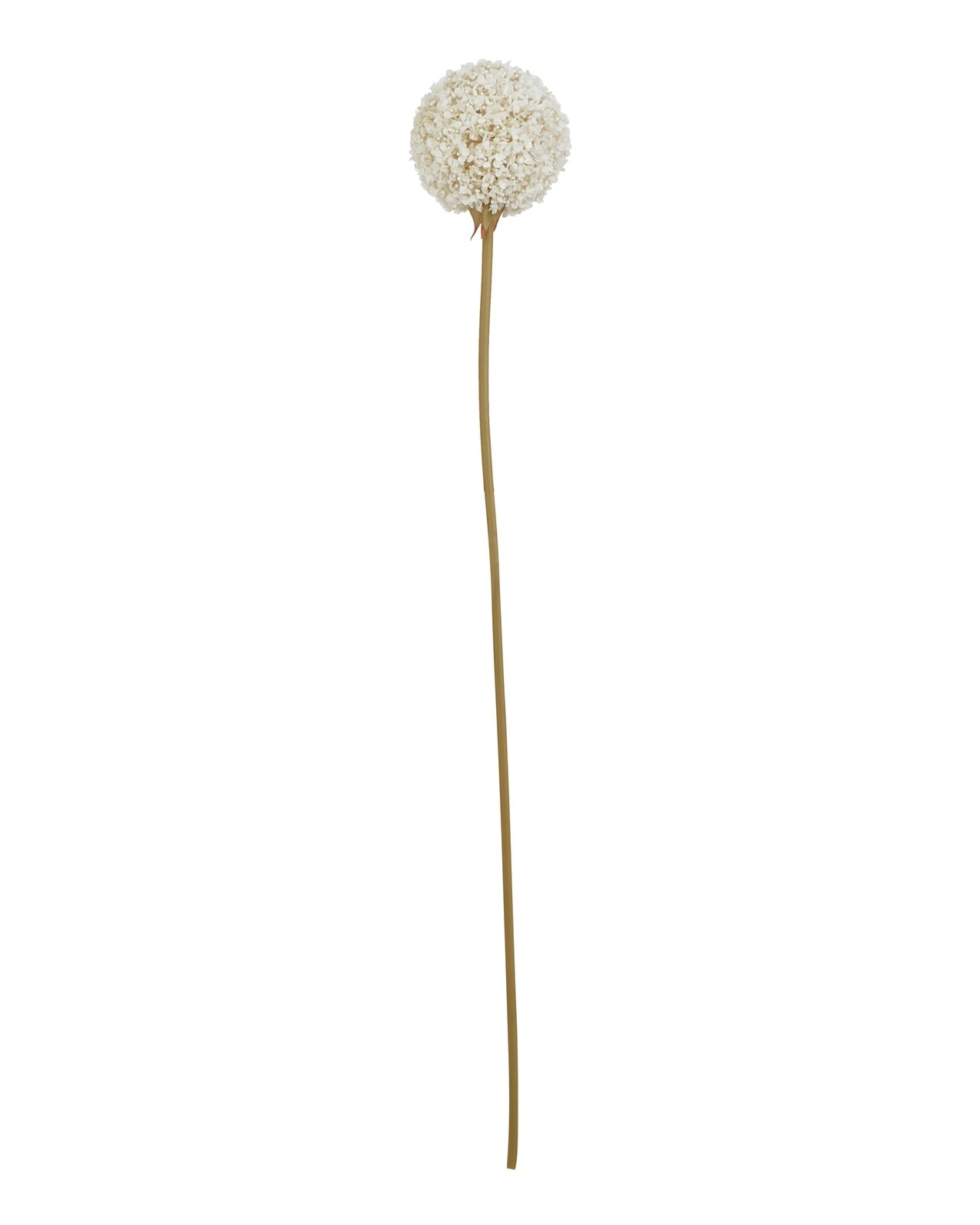 Artificial classic white allium stem from Hill Interiors, showcasing realistic white floral bloom and slender green stem.