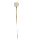 Artificial classic white allium stem from Hill Interiors, showcasing realistic white floral bloom and slender green stem.