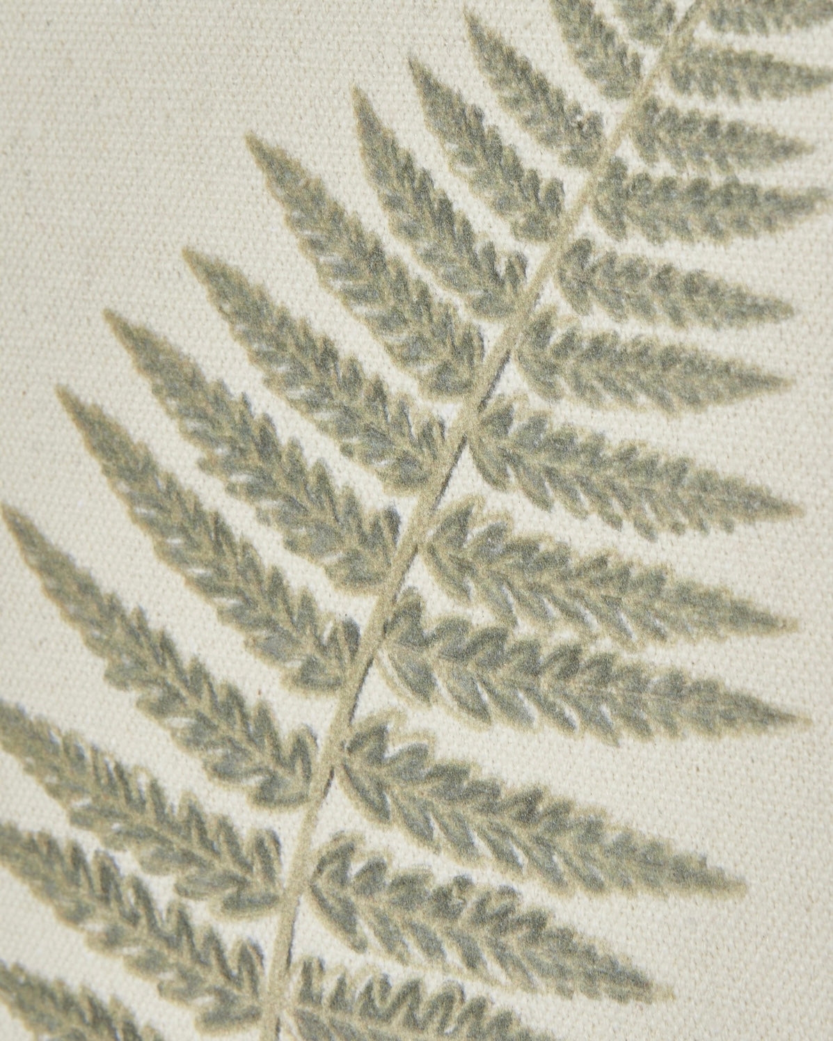 Wooden framed vintage wall art print featuring green ferns, ideal for home decor by Hill Interiors.