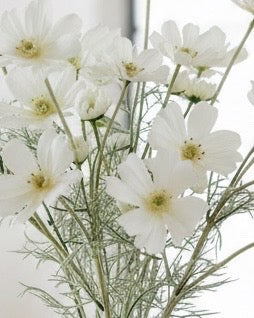 Artificial Cream Cosmos Flower Stem from Starlight Express, realistic cream-colored cosmos flower on a green stem, perfect for decor.