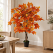Autumn Orange Maple Leaf Foliage Tree