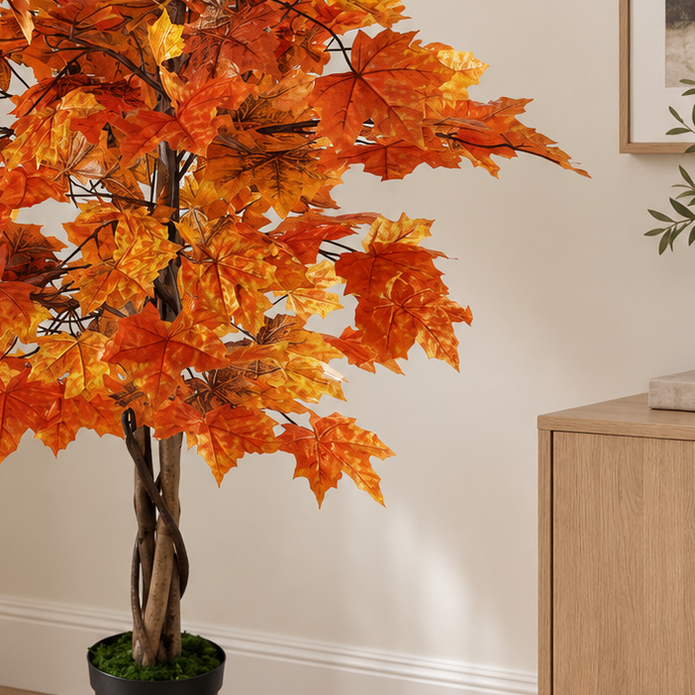 Autumn Orange Maple Leaf Foliage Tree
