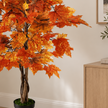 Autumn Orange Maple Leaf Foliage Tree