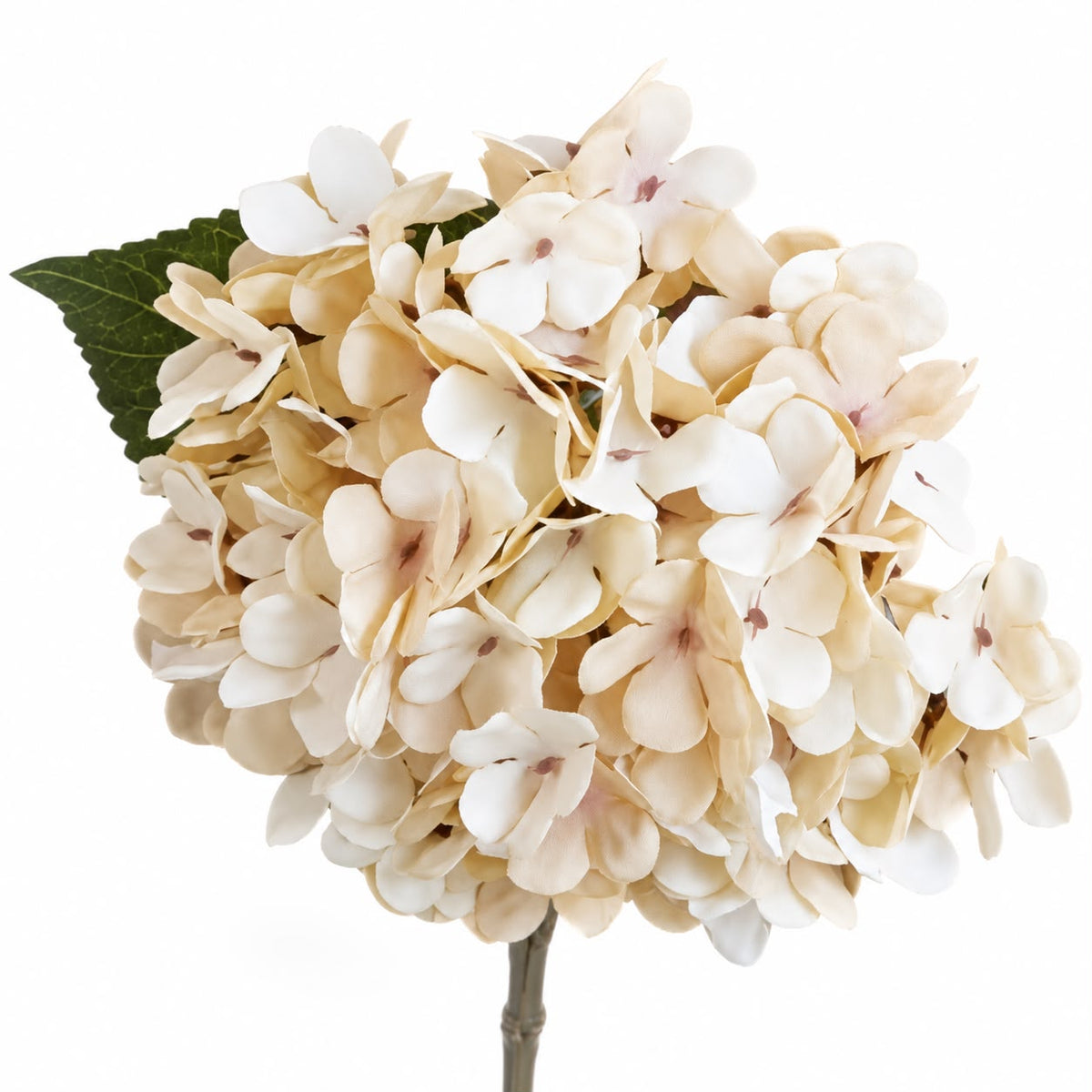 Artificial Short Soft Cream Hydrangea Stem, close-up of the cream hydrangea petals