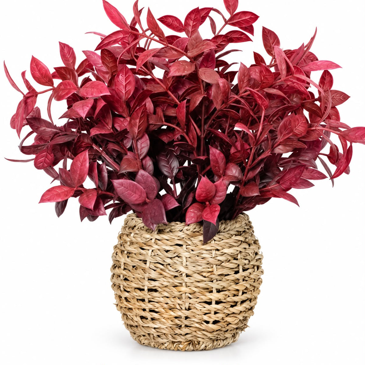 Burgundy Foliage Plant In a Seagrass Planter