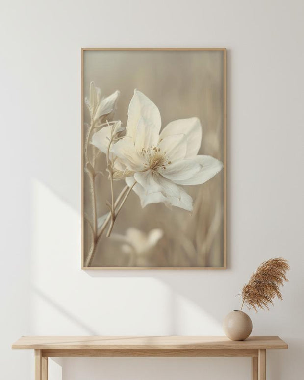 Large neutral botanical framed wall art print featuring an anemone flower by Brayden and Brooks.