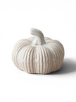 Rustic Ceramic Pumpkin
