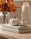 LED Light Up Neutral Pumpkin Ornament